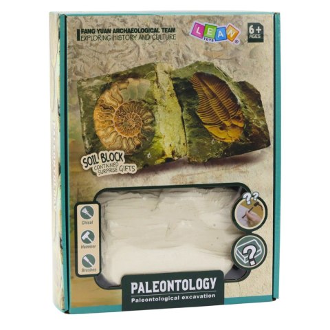 Zestaw Paleontologiczny Wykopaliska Blok Gipsowy Narzędzia LEAN Toys