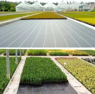 Agrotkanina czarna 1,1x50m UV 135g antychwastowa agrowłóknina + kotwy LEAN Trike