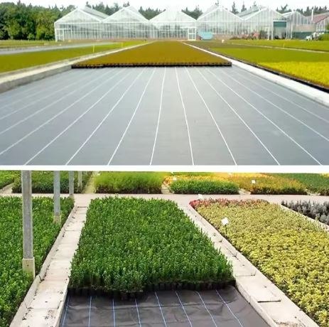 Agrotkanina czarna 1,1x50m UV 135g antychwastowa agrowłóknina + kotwy LEAN Trike