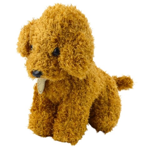 Piesek Pudel W Torbie Na Rzep Maskotka Przytulanka Jasnobrązowy LEAN Toys