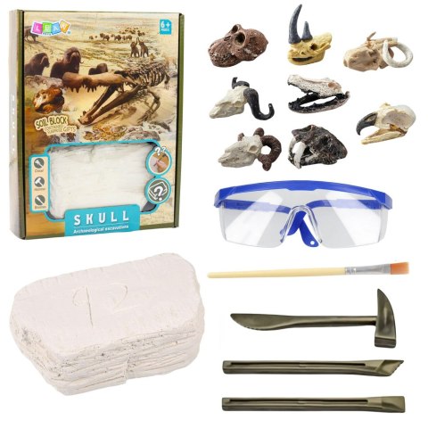 Zestaw Archeologiczny Wykopaliska Czaszek Kości Narzędzia Akcesoria LEAN Toys