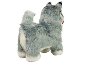 Interaktywny Pies Husky Porusza się, Szczeka LEAN Toys