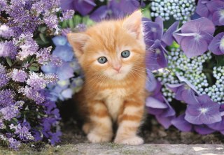 Puzzle 500 HQC RUDY KOTEK Clementoni 35585 Clementoni