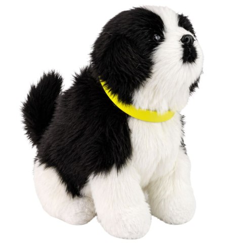Interaktywny Pies Piesek Border Collie Pluszowy Szczeka Rusza Ogonem LEAN Toys