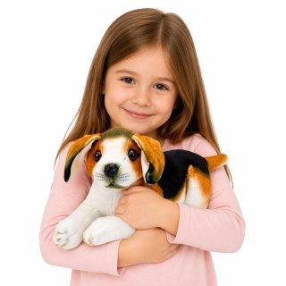 Pluszowy Piesek Beagle Przytulanka Maskotka Pluszak Pies Miękki 25 cm LEAN Toys