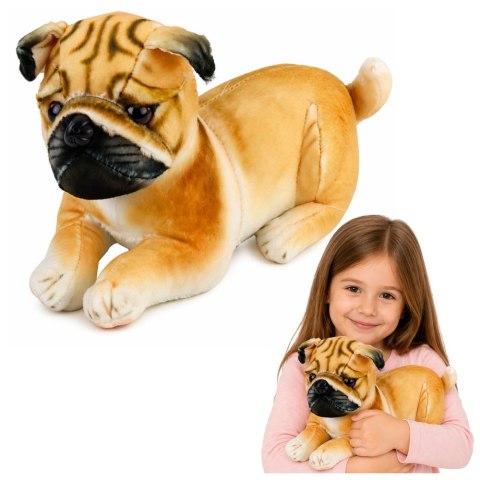 Pluszowy Piesek Mops Przytulanka Maskotka Pluszak Pies Miękki 25 cm LEAN Toys