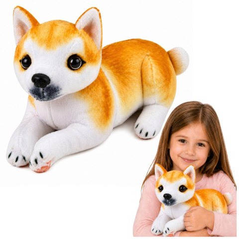 Pluszowy Piesek Shiba Inu Przytulanka Maskotka Pluszak Pies Miękki 25 cm LEAN Toys