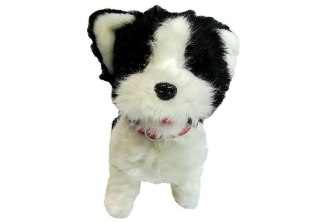 Pies Husky Na Smyczy Sterowany Pilot Kość Biało- Czarny LEAN Toys